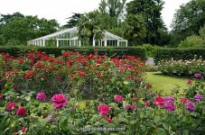 rose_garden_and_the_waterlily_house_kew_gardens_4628760.jpg