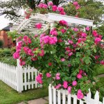 rose-garden4.jpg
