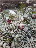 IMG_20171023_115856.jpg