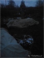 IMG_20171023_173503.jpg