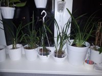 20171214_003448.jpg
