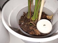 20171214_003554.jpg