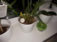 20171216_082002.jpg