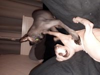 20171116_194934.jpg