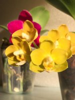 IMG_1702.jpg