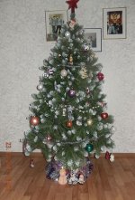 DSCN5515.jpg