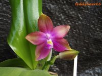 IMG_5817.JPG