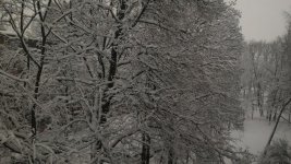 P_20180131_094935.jpg