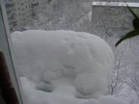DSC09192.jpg