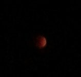 IMG_20180131_234535.jpg