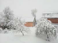 IMG_20180204_090321.jpg