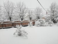 IMG_20180204_090201.jpg