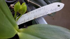 IMG-20180423-WA0005.jpg