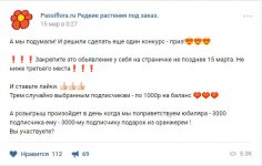 Безимени-1.jpg