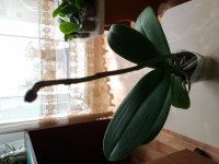 20180504_153741.jpg