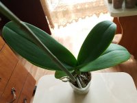 20180504_153822.jpg