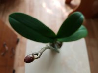 20180504_153808.jpg