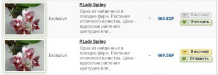 Lady spring.jpg