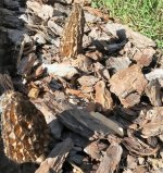 20180511_081303.jpg