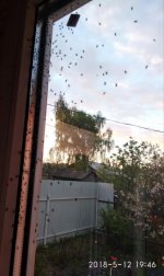 IMG_20180519_214426.jpg