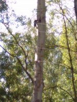 IMG_20180527_075605.jpg
