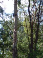 IMG_20180527_075510.jpg