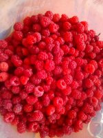 IMG-20180528-WA0006.jpg