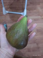 IMG-20180620-WA0005.jpg