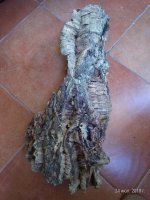 IMG-20180724-WA0002.jpg