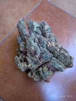 IMG-20180724-WA0001.jpg