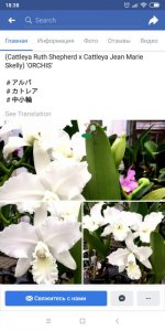 Screenshot_2019-01-31-18-38-50-016_com.facebook.katana.jpg