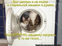 dlyakota.ru_kotomatricy_1329410905981.jpg