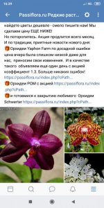 Screenshot_2019-06-26-16-39-01-405_com.vkontakte.android.jpg