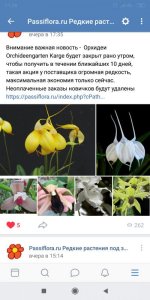 Screenshot_2019-09-16-11-28-06-079_com.vkontakte.android.jpg