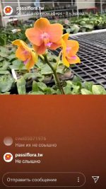 Screenshot_2019-12-09-10-44-38-992_com.miui.videoplayer.jpg