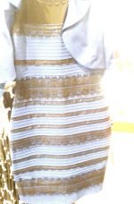 blue and black or white and gold dress.jpeg