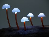 lamp-mushroom-1.jpg