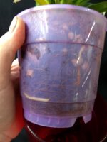 IMG_20250515_215756.jpg