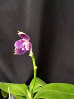 IMG_20250601_212925.jpg