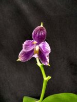 IMG_20250602_205438.jpg