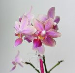 IMG_20250628_113045.jpg