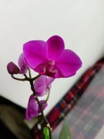 IMG20250502092738.jpg