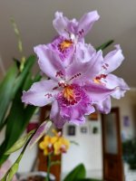 IMG20250628122257.jpg