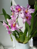 IMG_20250628_122010.jpg