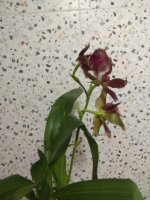 IMG_20250707_221806.jpg