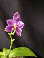 IMG_20250711_204434.jpg