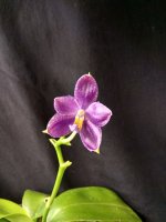 IMG_20250711_204540.jpg