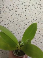 IMG_20250717_195935.jpg