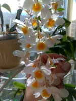 IMG_20250806_161552.jpg