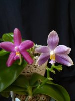 IMG_20250814_135635.jpg